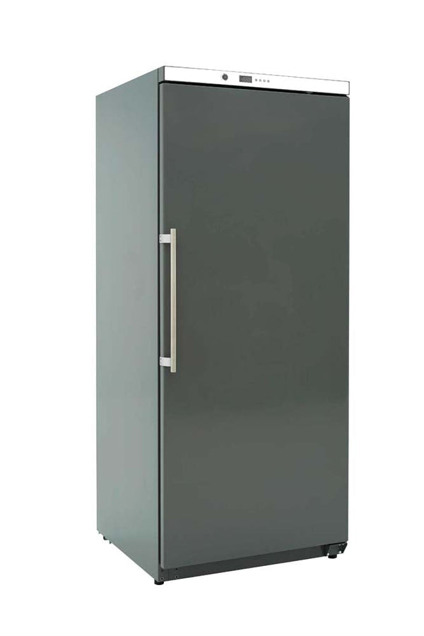 GASTRO&amp;CO. ECOLINE storage refrigerator ABS - 305 l 