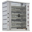 GASTRO&CO. Hähnchengrill Rotationsgrill 12GSG-RG mit 12 Spießen für 48-72 Hähnchen - 1130x635x1536 mm