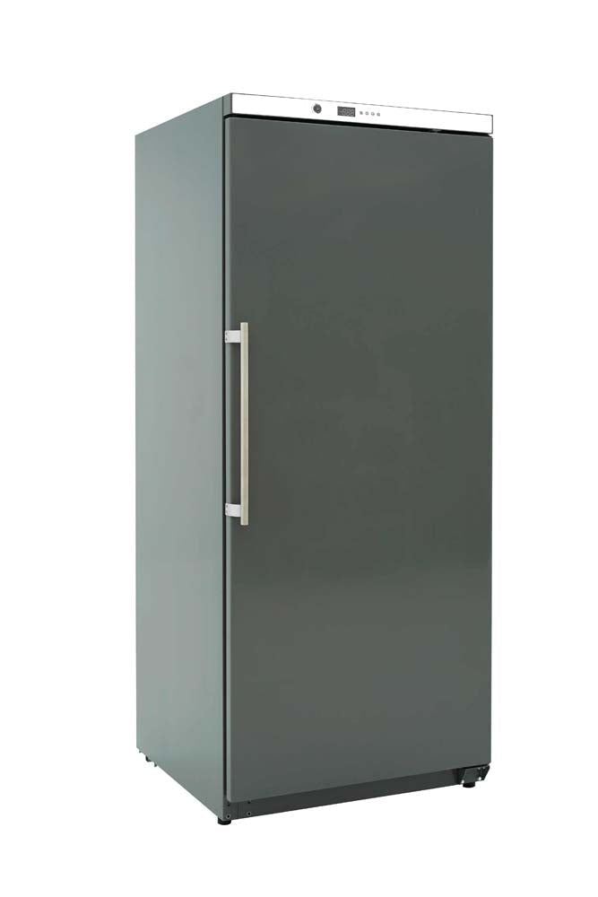 GASTRO&CO. ECOLINE Lagertiefkühlschrank ABS - 305 l